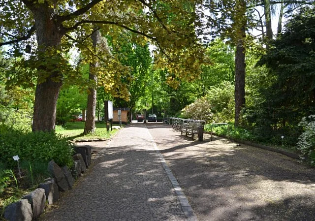 Eingang Linnéstraße