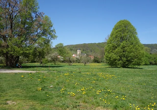 Wiese Westufer mit Blick nach Creuzburg