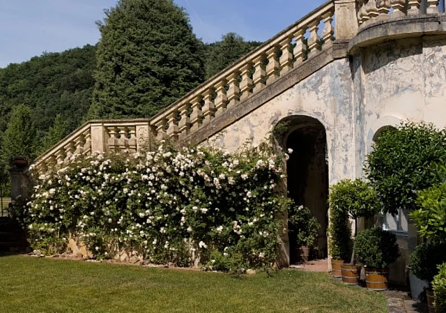 Treppe zum Wintergarten