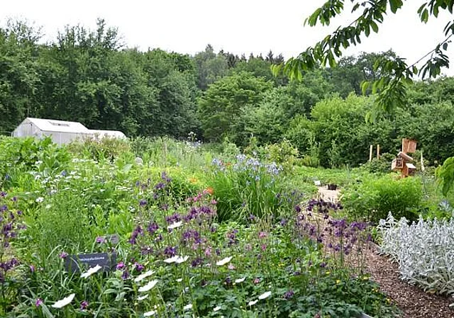 Bauerngarten