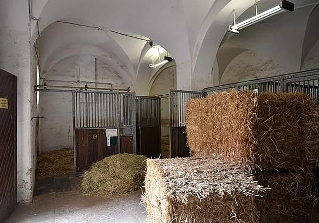 Altes Jagdschloss Wermsdorf, Pferdeställe