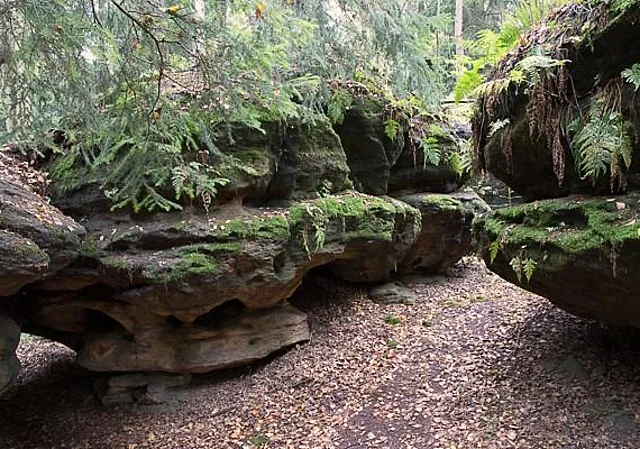 Felslabyrinth Langenhennersdorf, bemooste Felsen