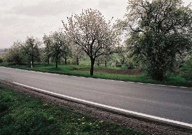 Straße Blick nach Osten