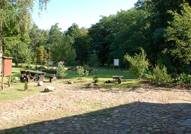 Blick vom Eingang zum Wald nach Norden