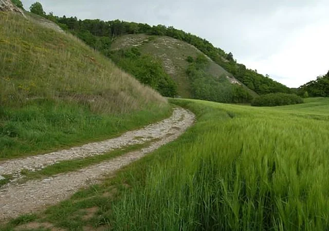 Ochsenburg bei Steinthaleben