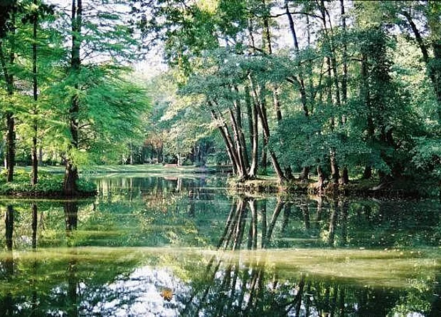 Schlosspark Krumke 