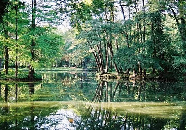 Schlosspark Krumke