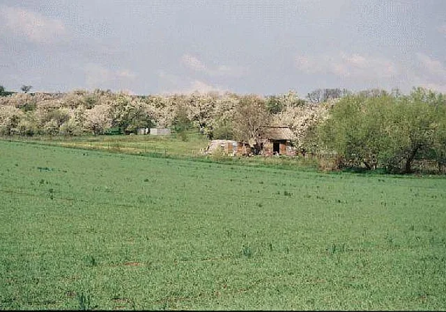 Feld Blick nach Westen