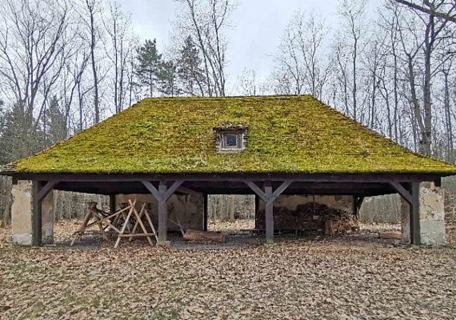 Remise im Herbst