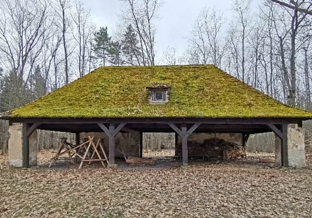 Remise im Herbst