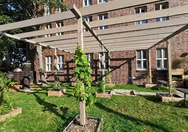 Pergola