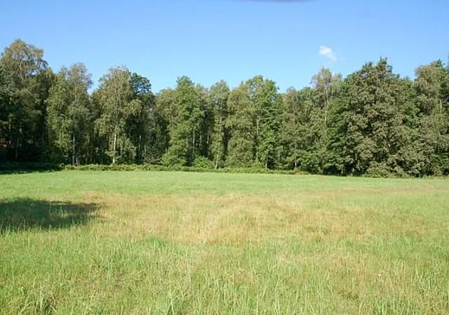 Rückseite, Wiese und Wald nach Nordwest
