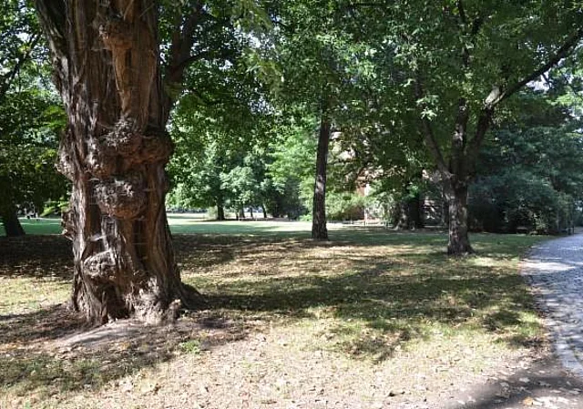 Johannapark