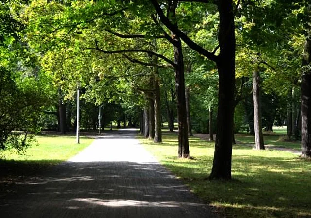 Clara-Zetkin-Park, an der F.-Lassalle-Str.