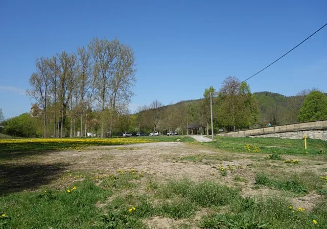 Wiese Westufer mit Blick zum Parkplatz