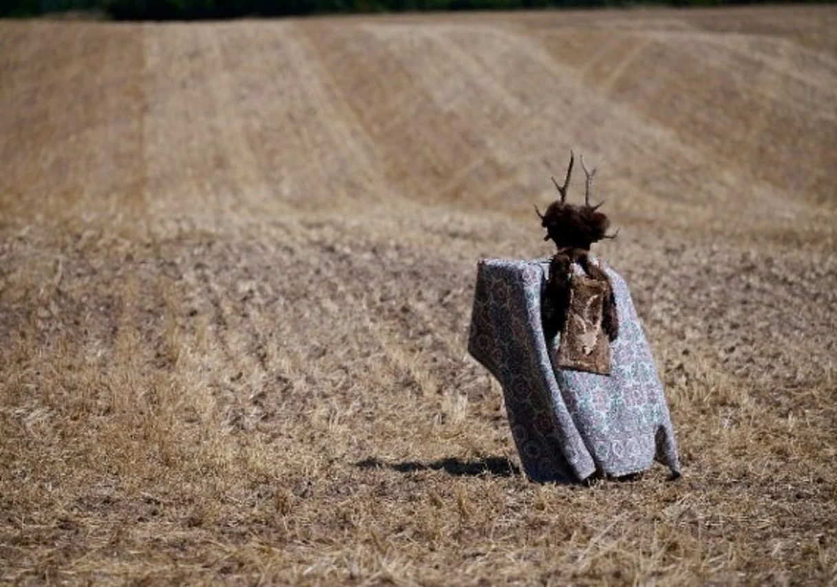 Weizenfeld in Stöckey in der Goldenen Aue