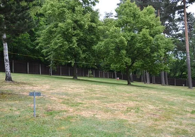 FKK-Bereich, Liegewiese