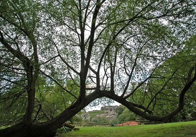 Burg und Festung Regenstein