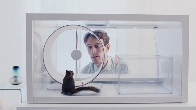 Das Eichhörnchen Das Eichhörnchen