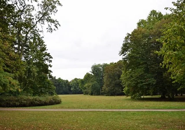 Clara-Zetkin-Park, Wiese
