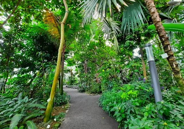 Tropenhaus (Palmenhaus)