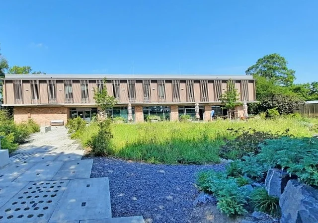 Grünes Klasenzimmer
