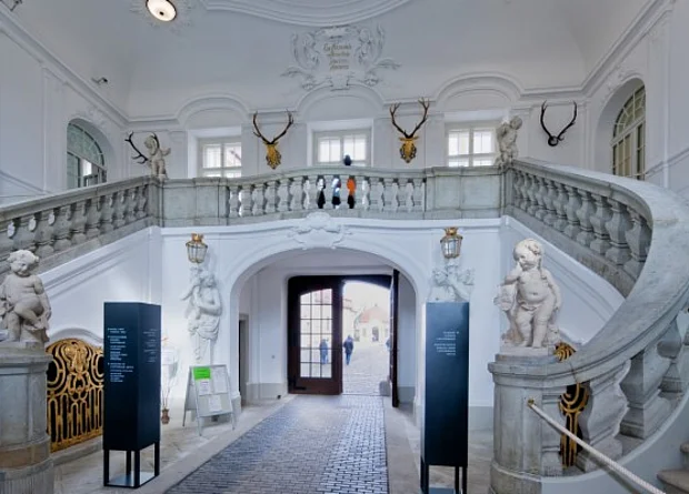 Treppenaufgang Foyer 
