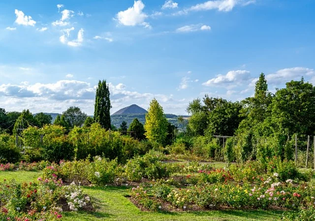 Europa-Rosarium Sangerhausen