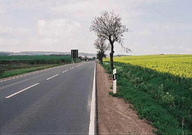 Bei Elxleben Blick nach Westen