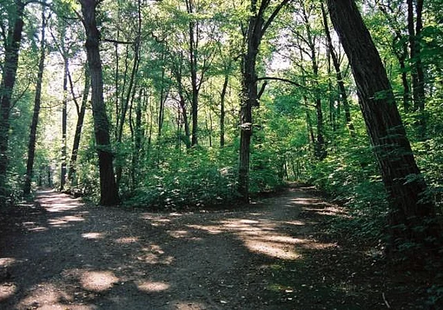 Rosental, Waldweg