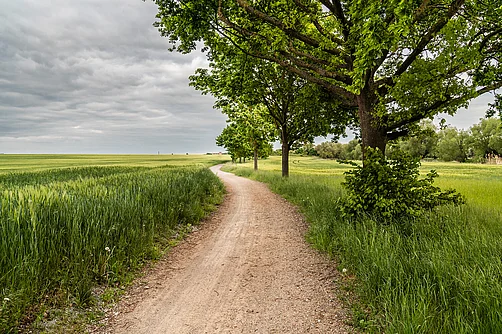 Landschaft bei Gänsefurth Landschaft bei Gänsefurth