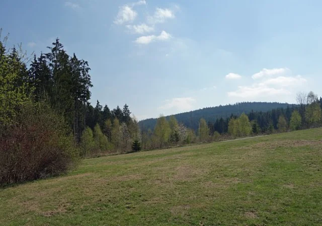 Wiese bei der Finnhütte