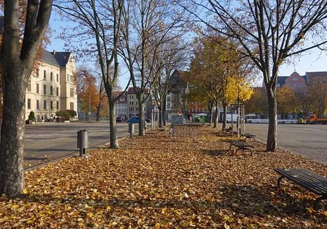 Kleine Allee Nordseite