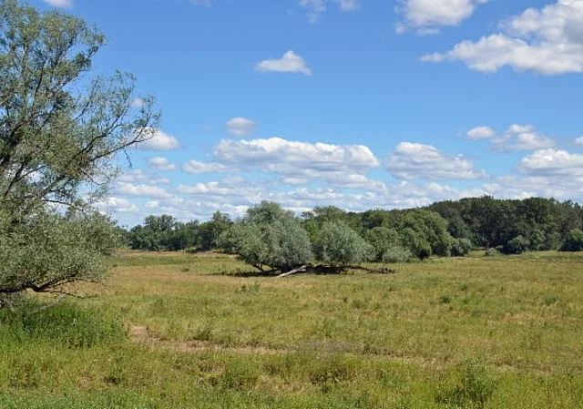 Sieglitzer Berg, Elbaue