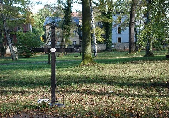 Lindenallee mit Blick nach Westen