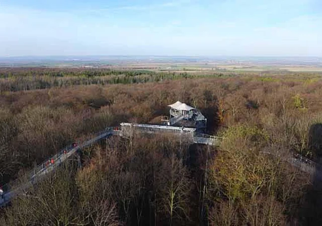 Baumkronenpfad