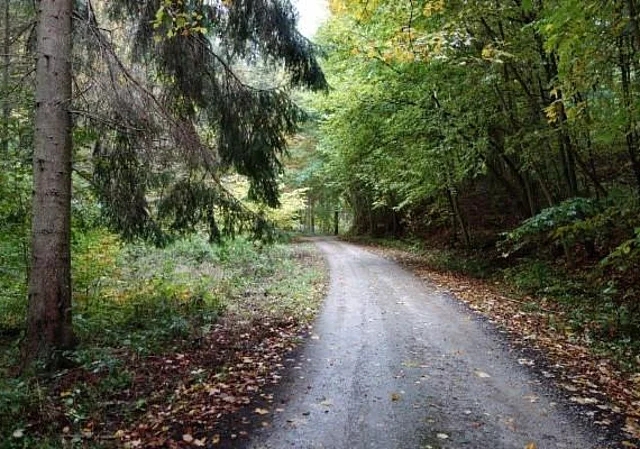Alter Stolberg