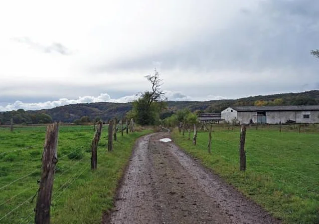 bei Rodishain
