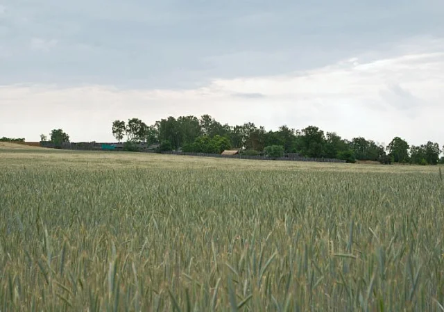 Langobardenwerkstatt Zethlingen: Mühlenberg nach Südost