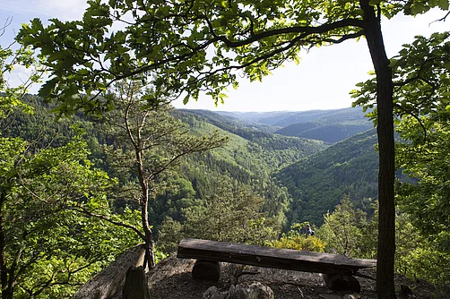 Blick in das Schwarzatal Blick in das Schwarzatal nahe Giesbachfelsen und Ingoklippe in der Umgebung von Bad Blankenburg