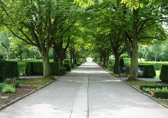 Hauptachse