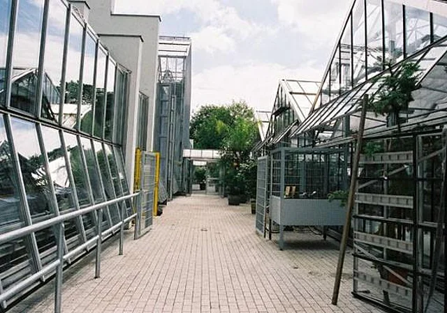 Gewächshäuser, Innenhof