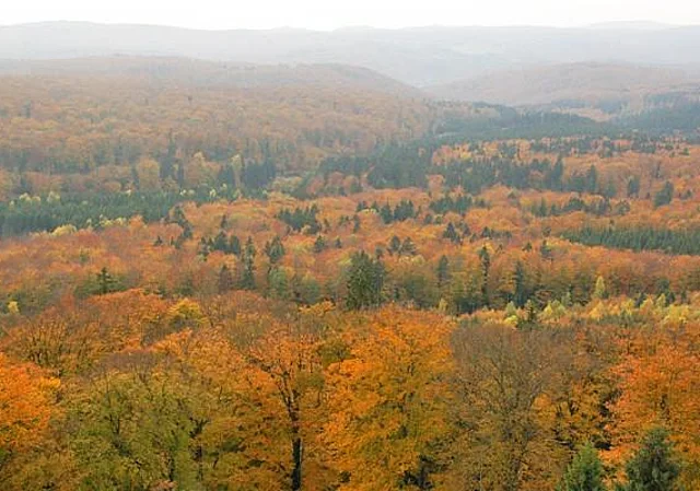 Josephskreuz, Ausblick über den Auerberg