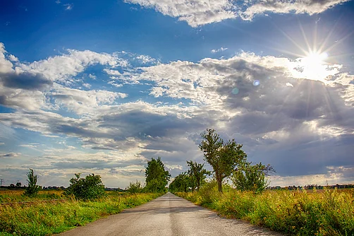 Straße in der Altmark