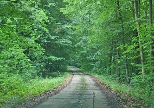 Plattenweg