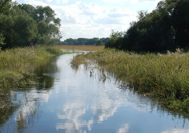 Elbe bei Schartau, nach Südwest