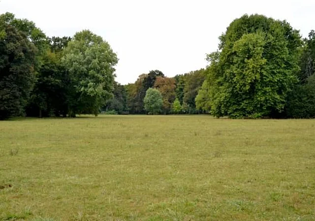 Clara-Zetkin-Park, Wiese