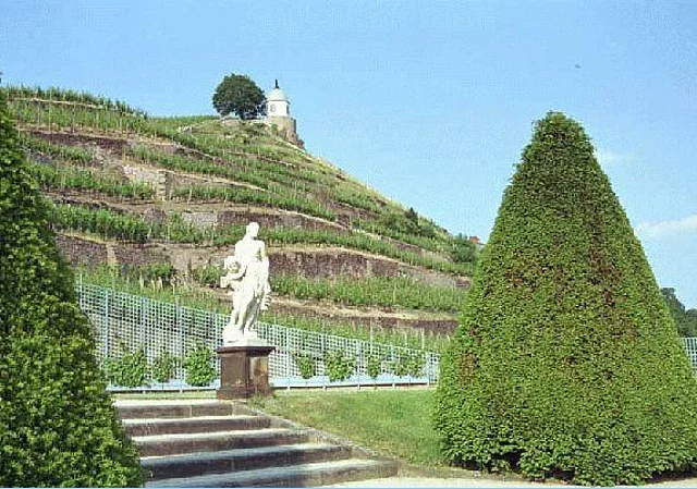 Weinberg, Süden