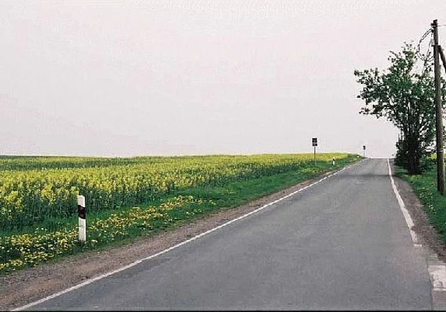 Beim Waldhaus Blick nach Süden