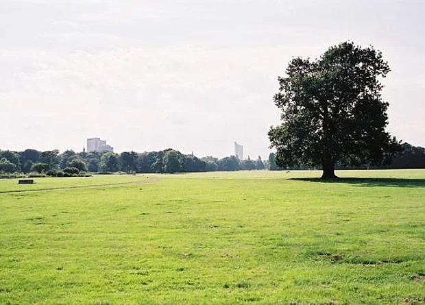 Rosental, Große Wiese, Blick nach Süden 